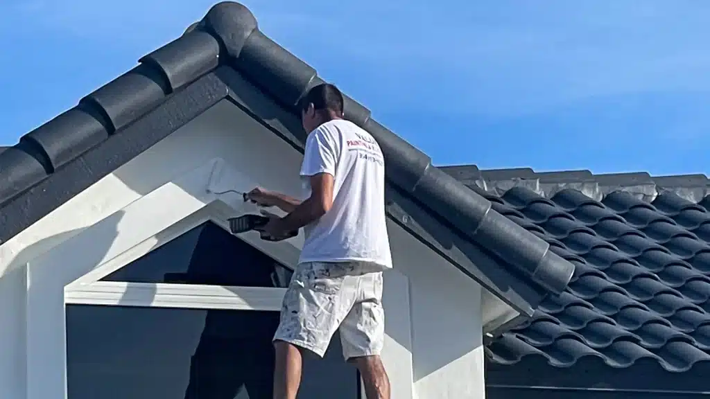 roof paint 2