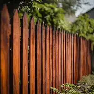 A beautifully stained fence.