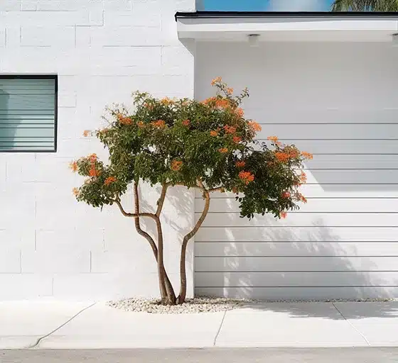 Fresh white paint on a brick wall of a Florida home